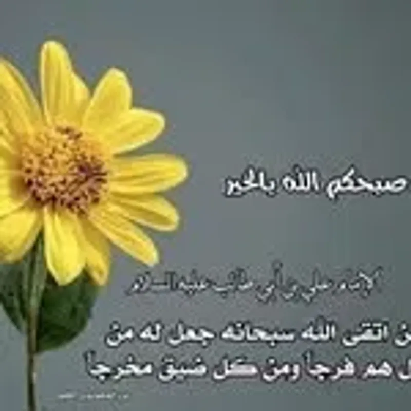 bisha5768