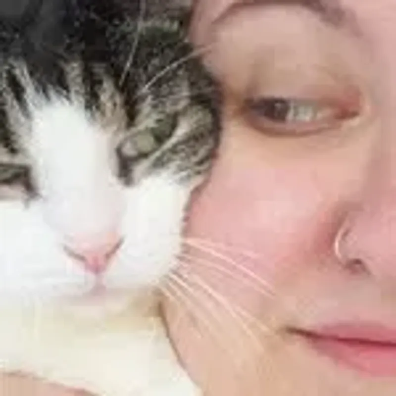 thatkat404