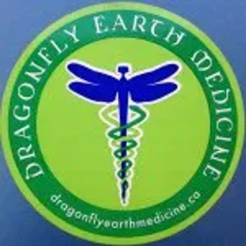 dragonflyearthmedicine