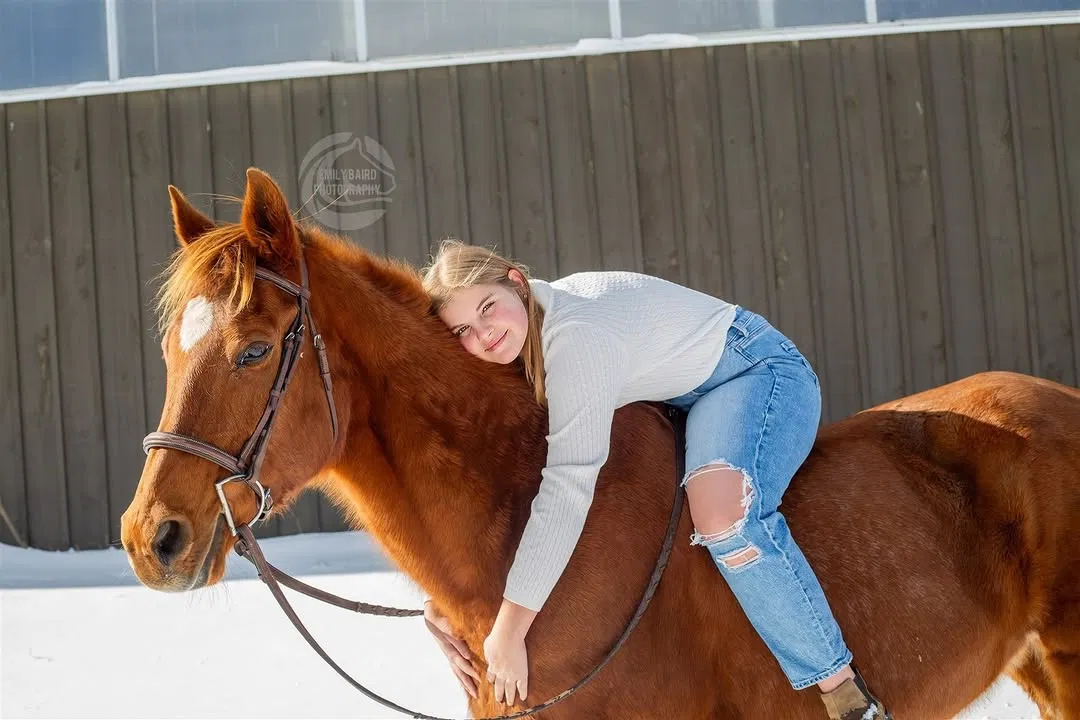 Equine Photography