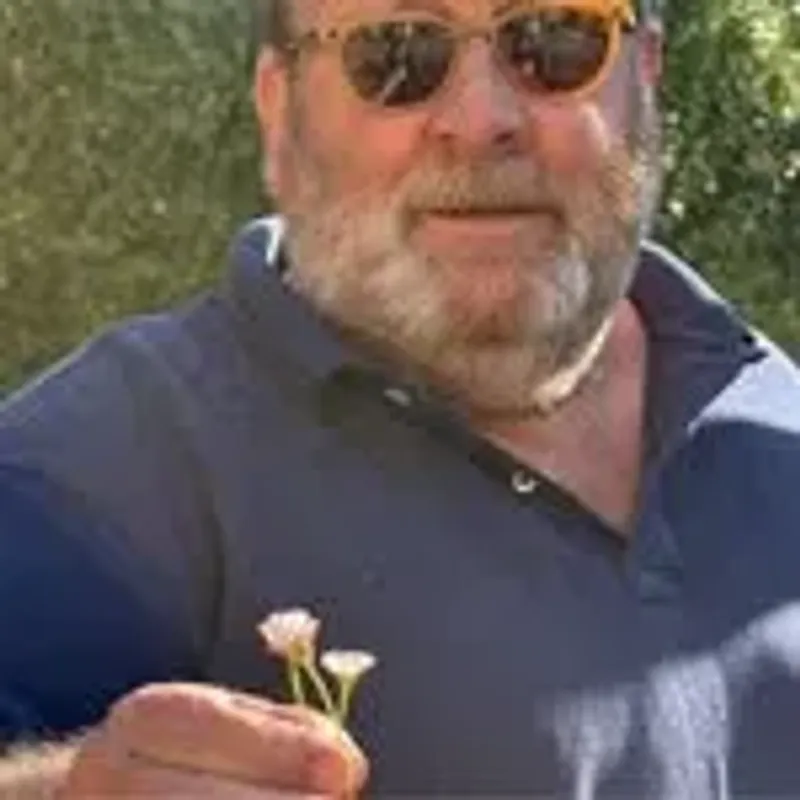 pitpatpugh
