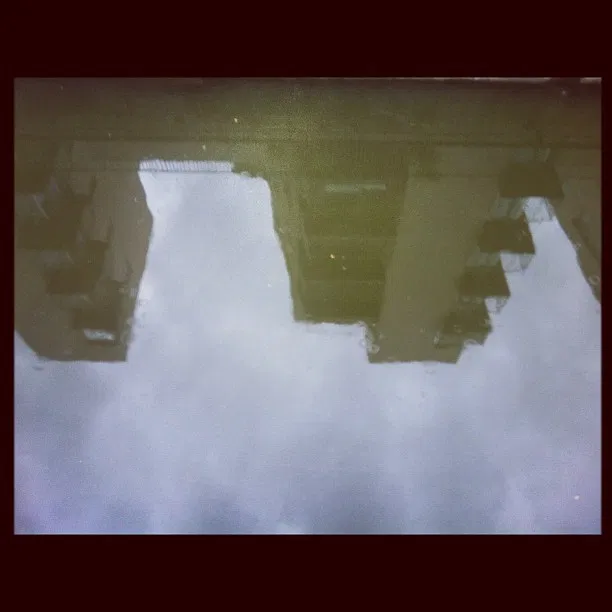 Project 5