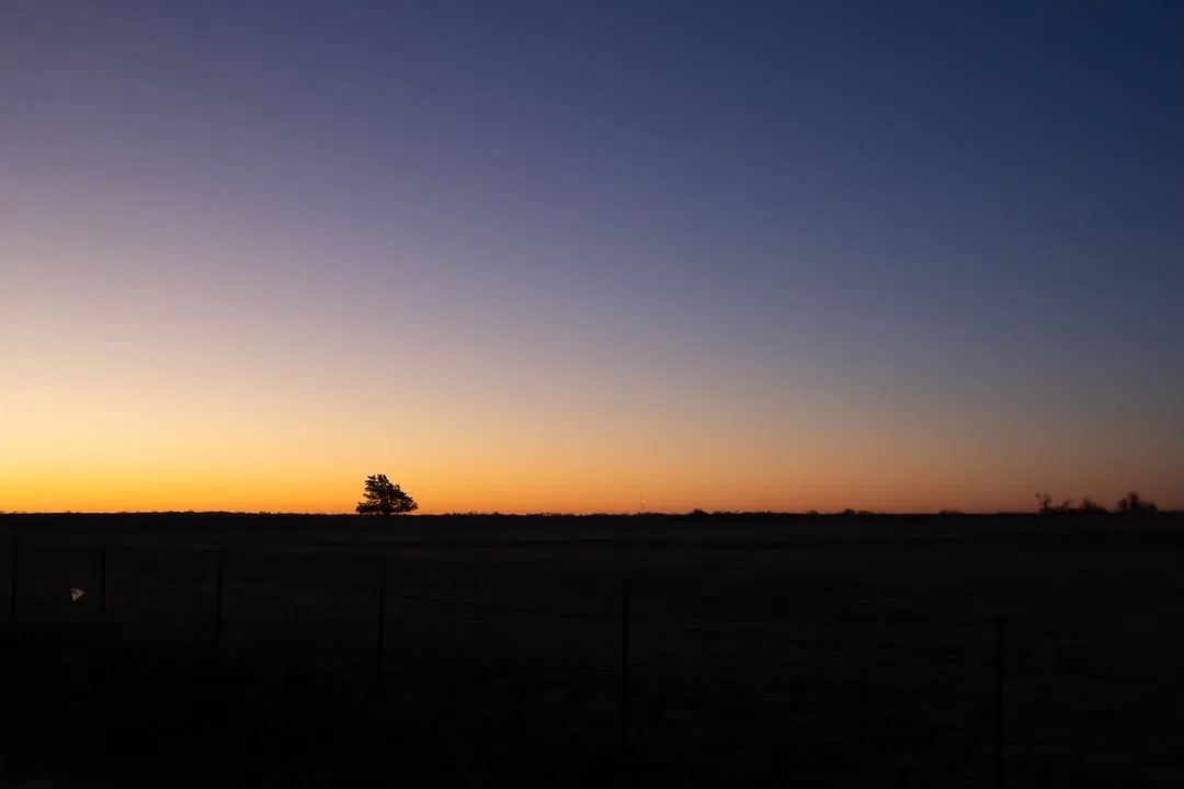 Nature Photography