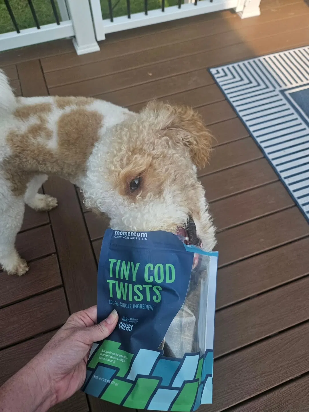 Project 15