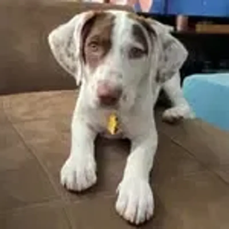 fiona_cuddlebug