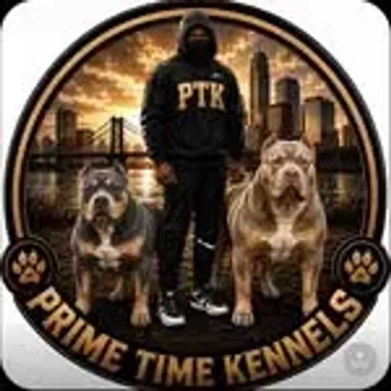 _primetime.kennels