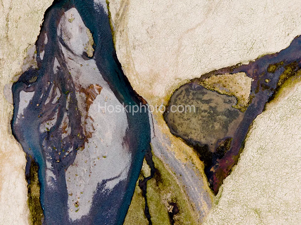 Gallery 116