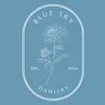 blue_sky_dahlias