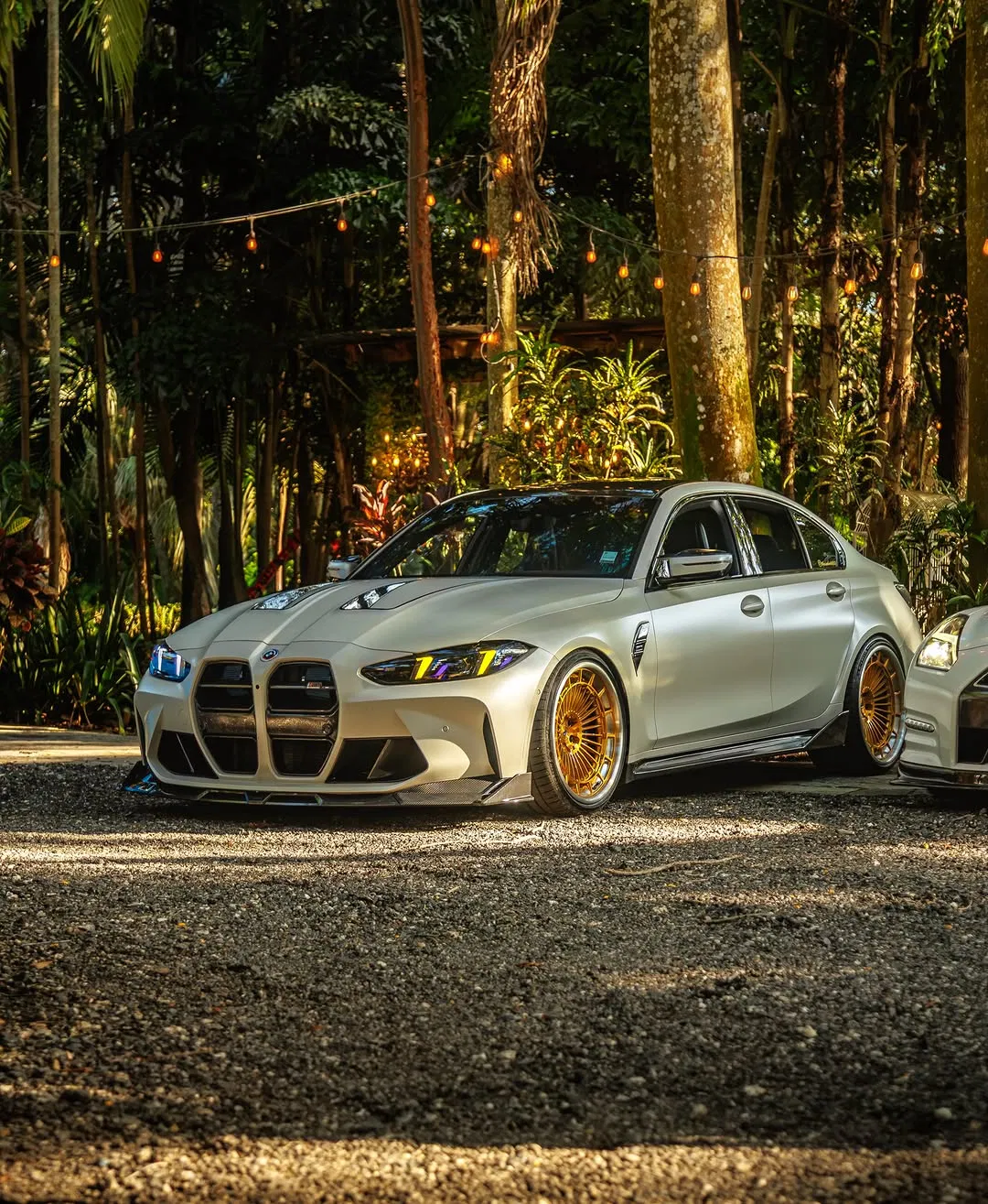 Project 31