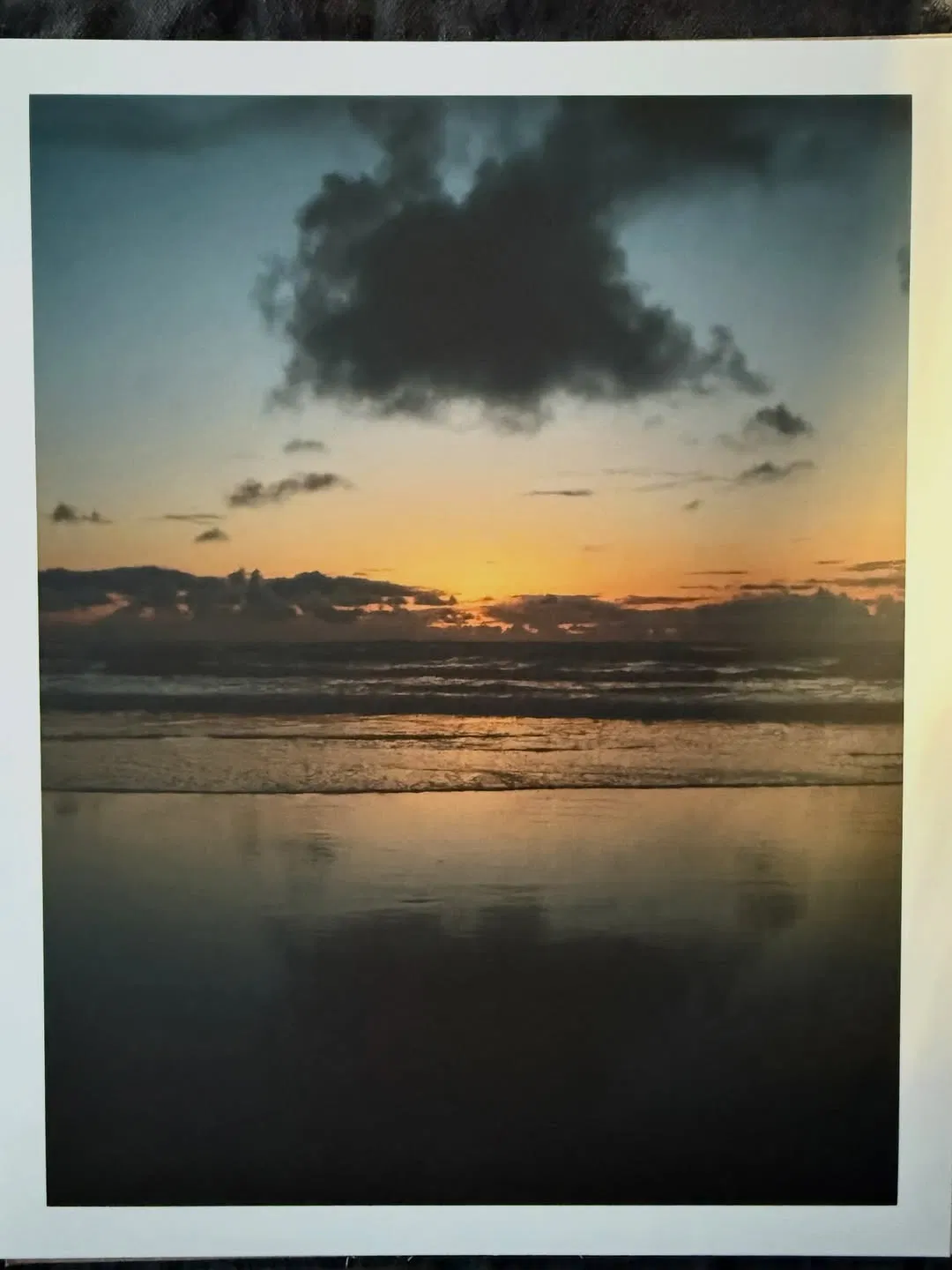 Gallery 6