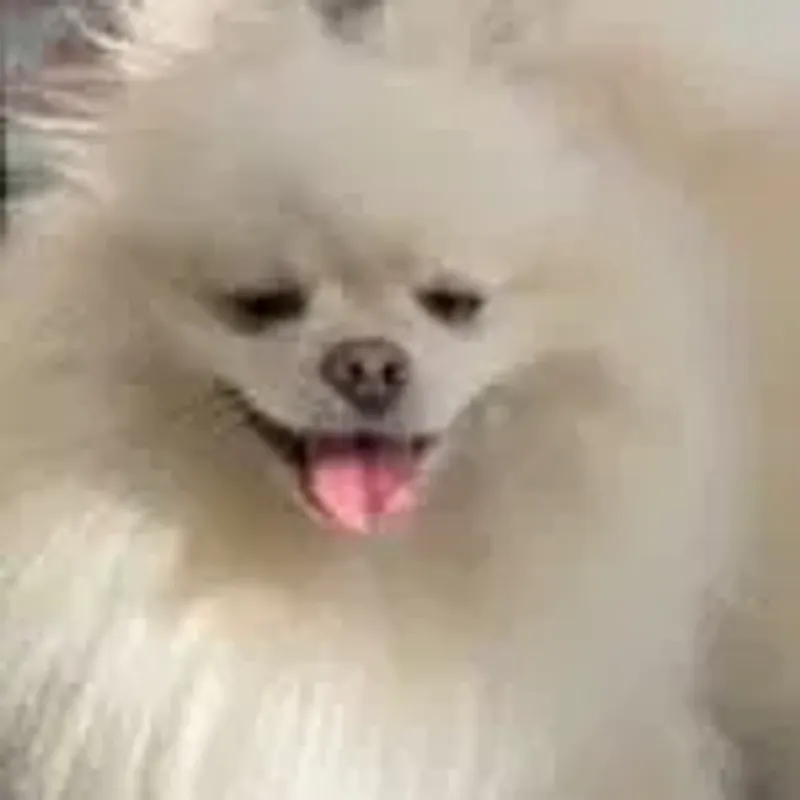 daniela_santoya95