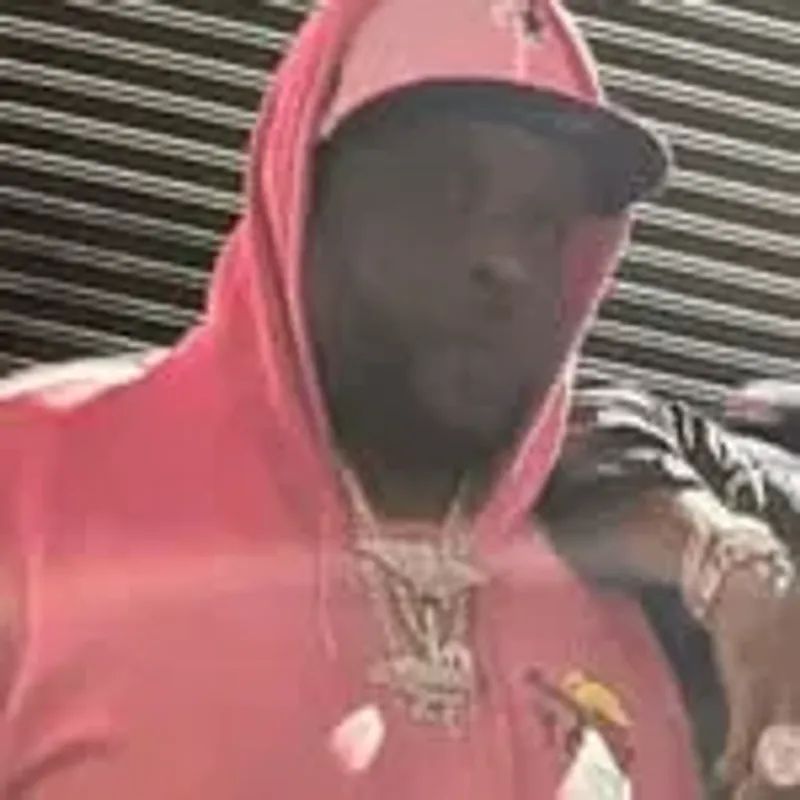 thereal_antlive