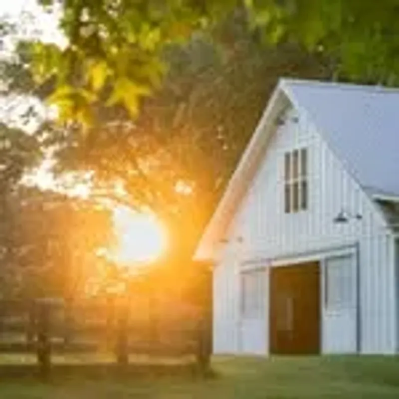 farm.life_in.focus