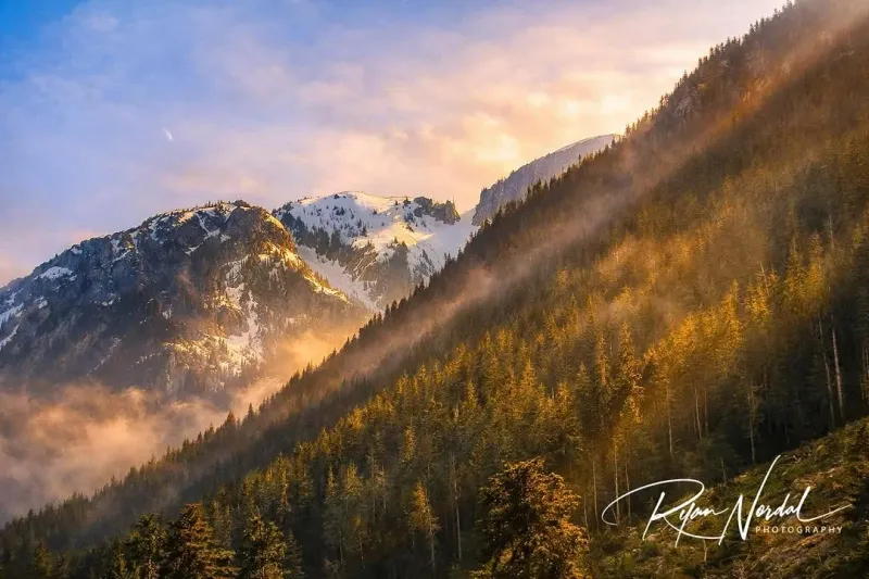 Nature Photography