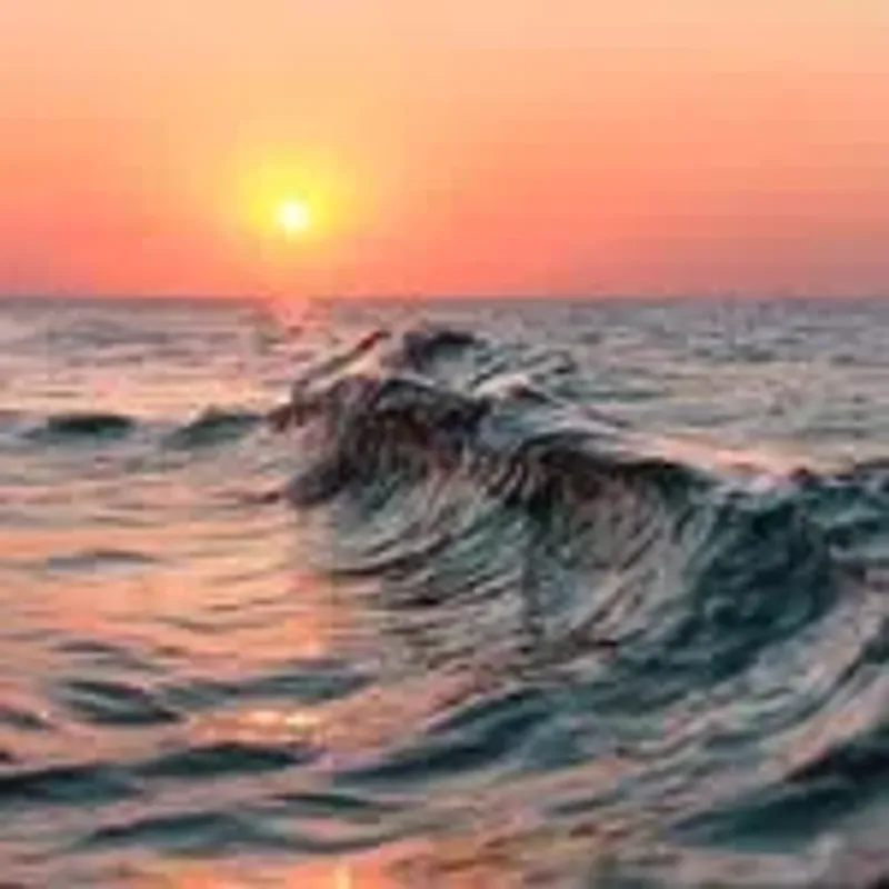 georgia_coast