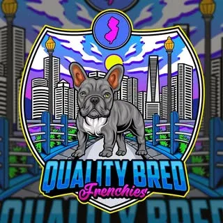 Quality Bred Frenchies