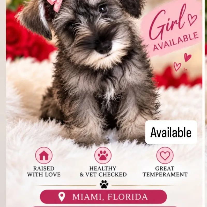 Female available 
$2300