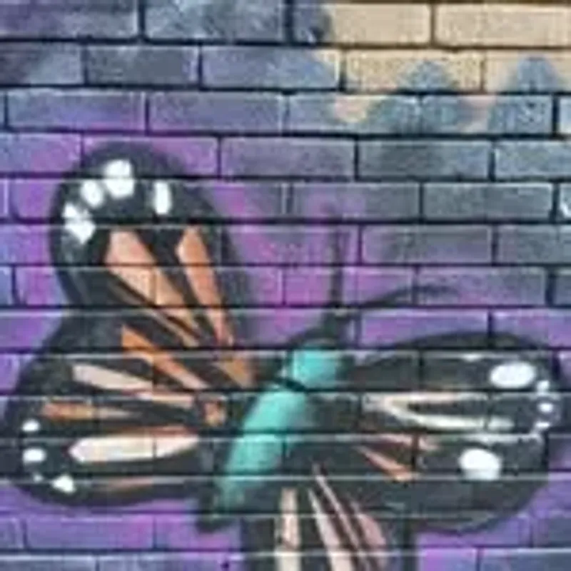 mariposanyl