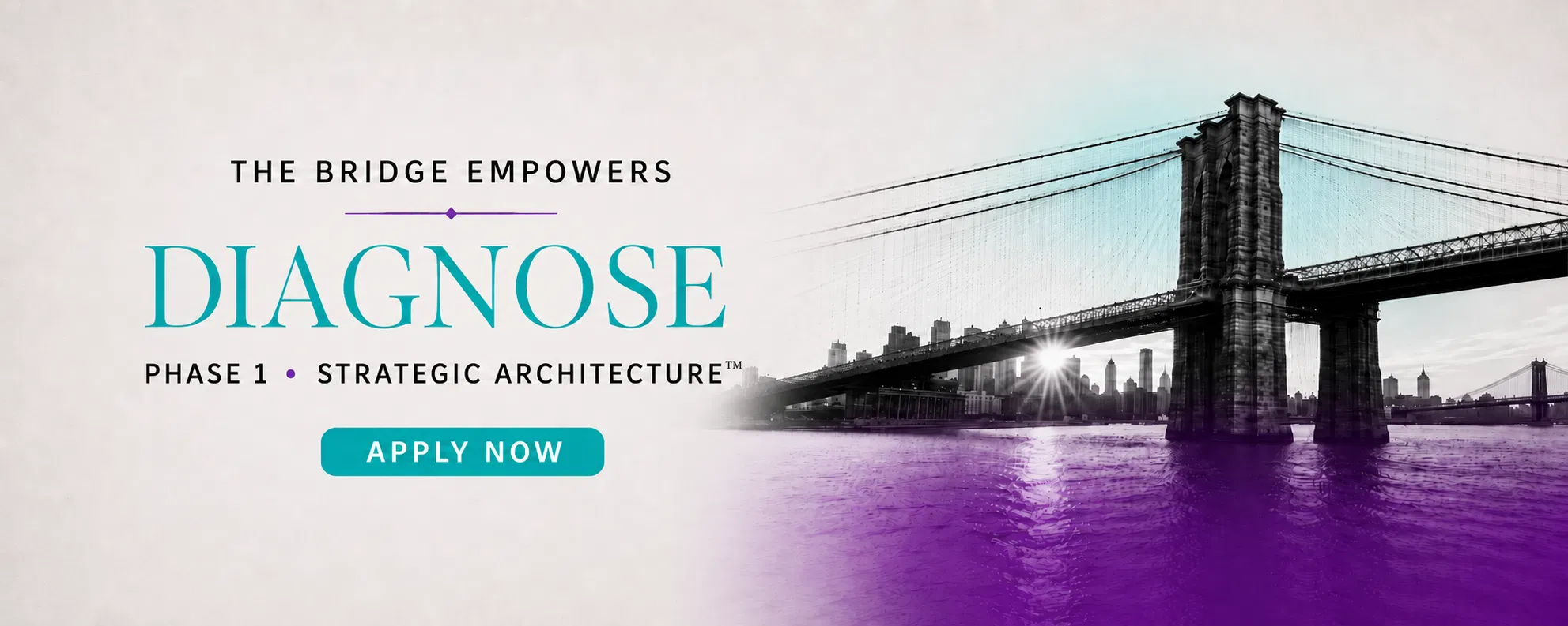 THE BRIDGE Diagnose Phase | Apply