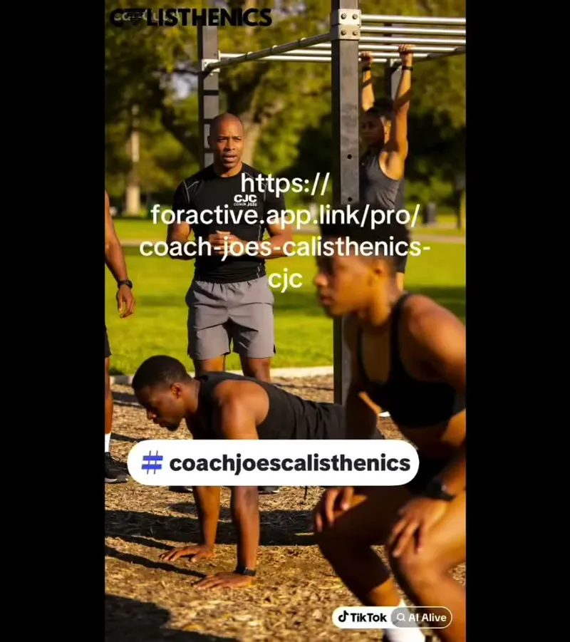 Introductory Offer