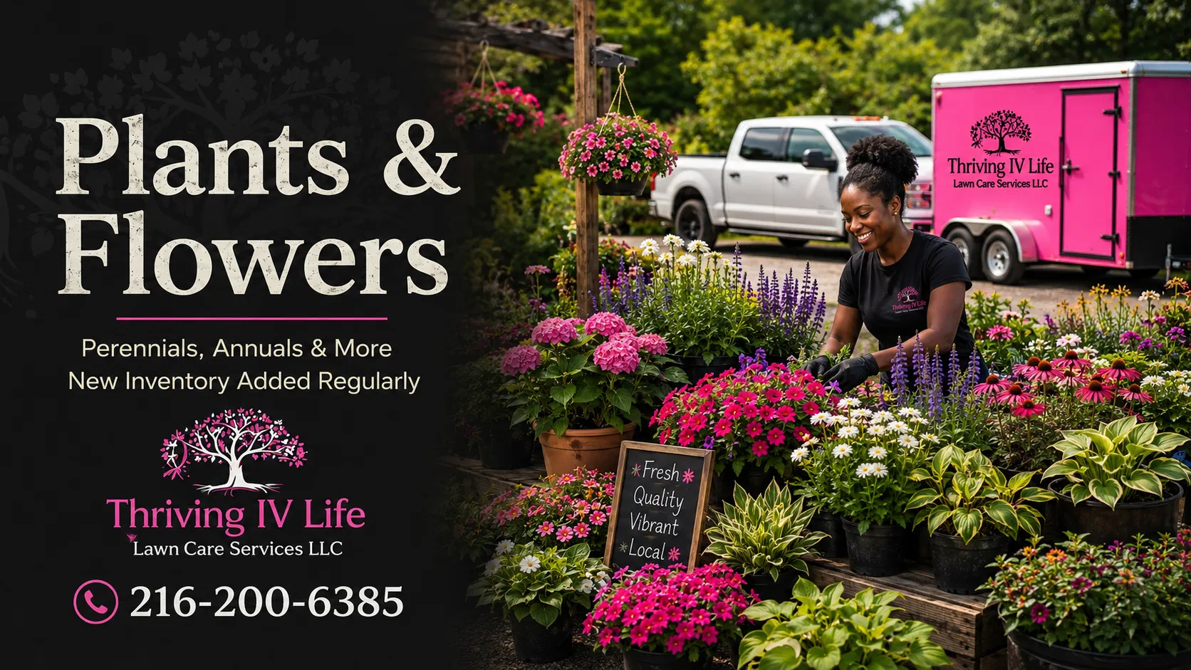 Plants & Flowers