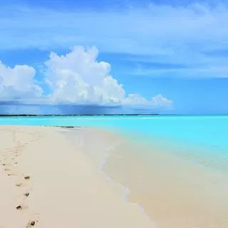 Destination Reviews