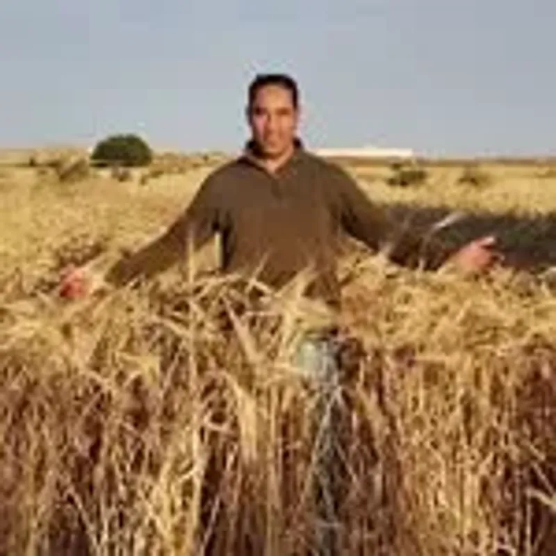 bousmitidriss