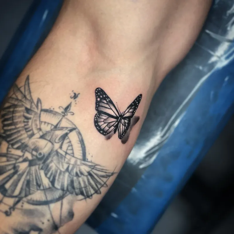 FINE LINE + MICRO REALISM