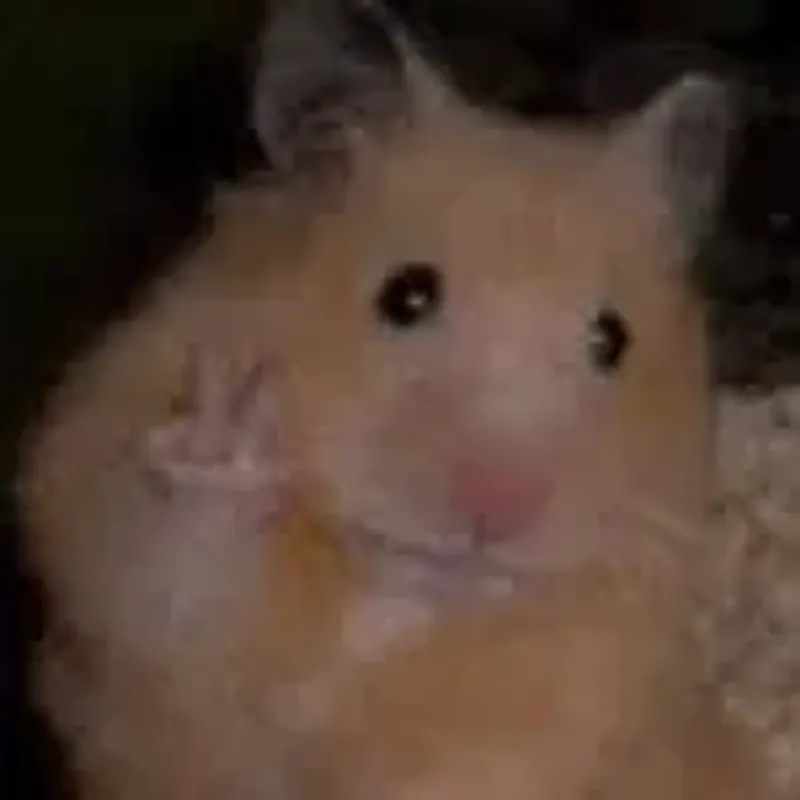 beeeolive