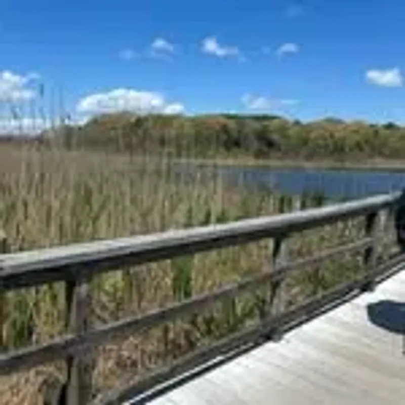 @jaxon.conway037