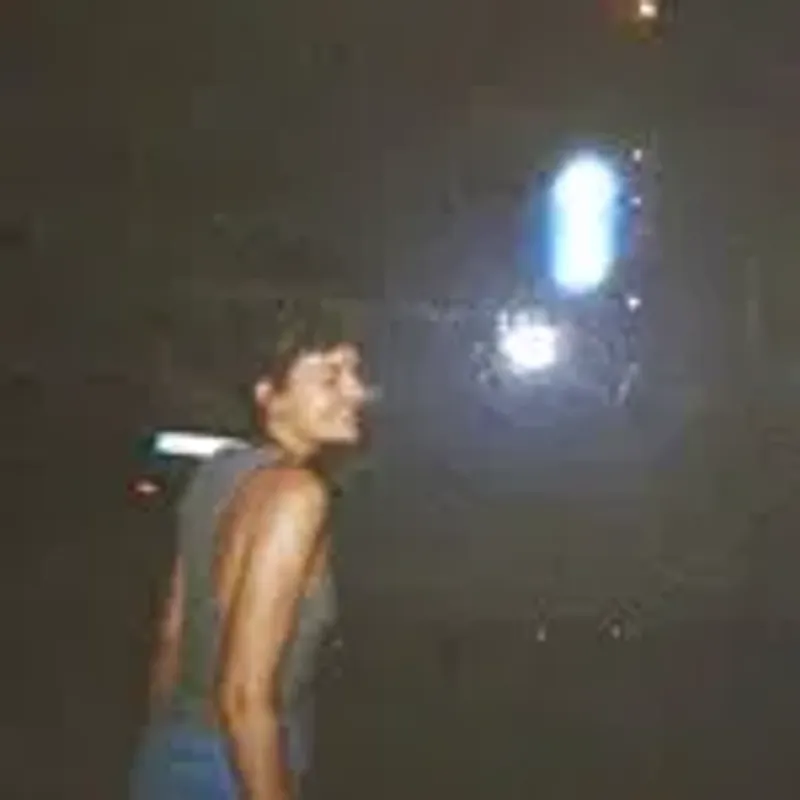 lisaliebts