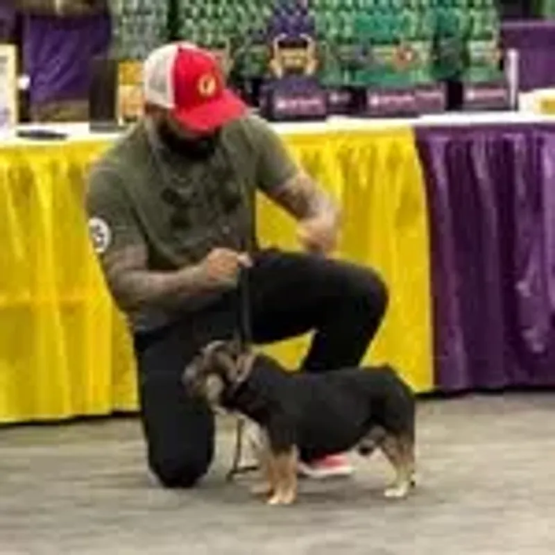 goatlinebullies