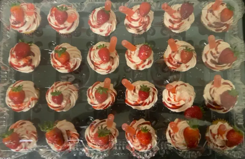 Cheesecakes and Cupcakes