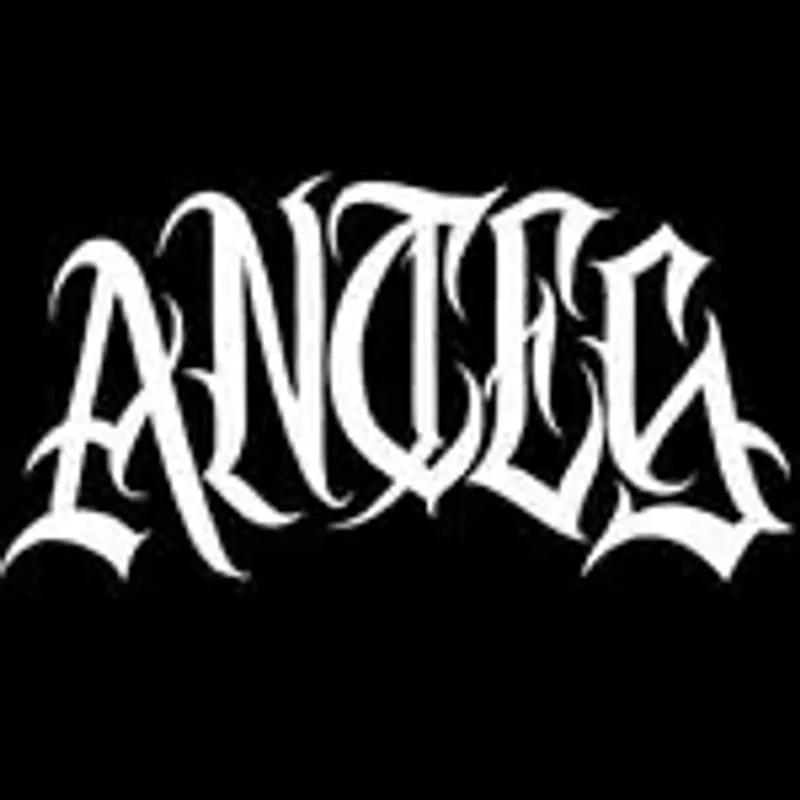 _ant3s_