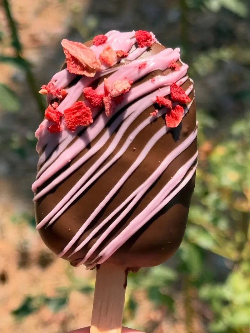 Chocolate covered strawberry cake pops 