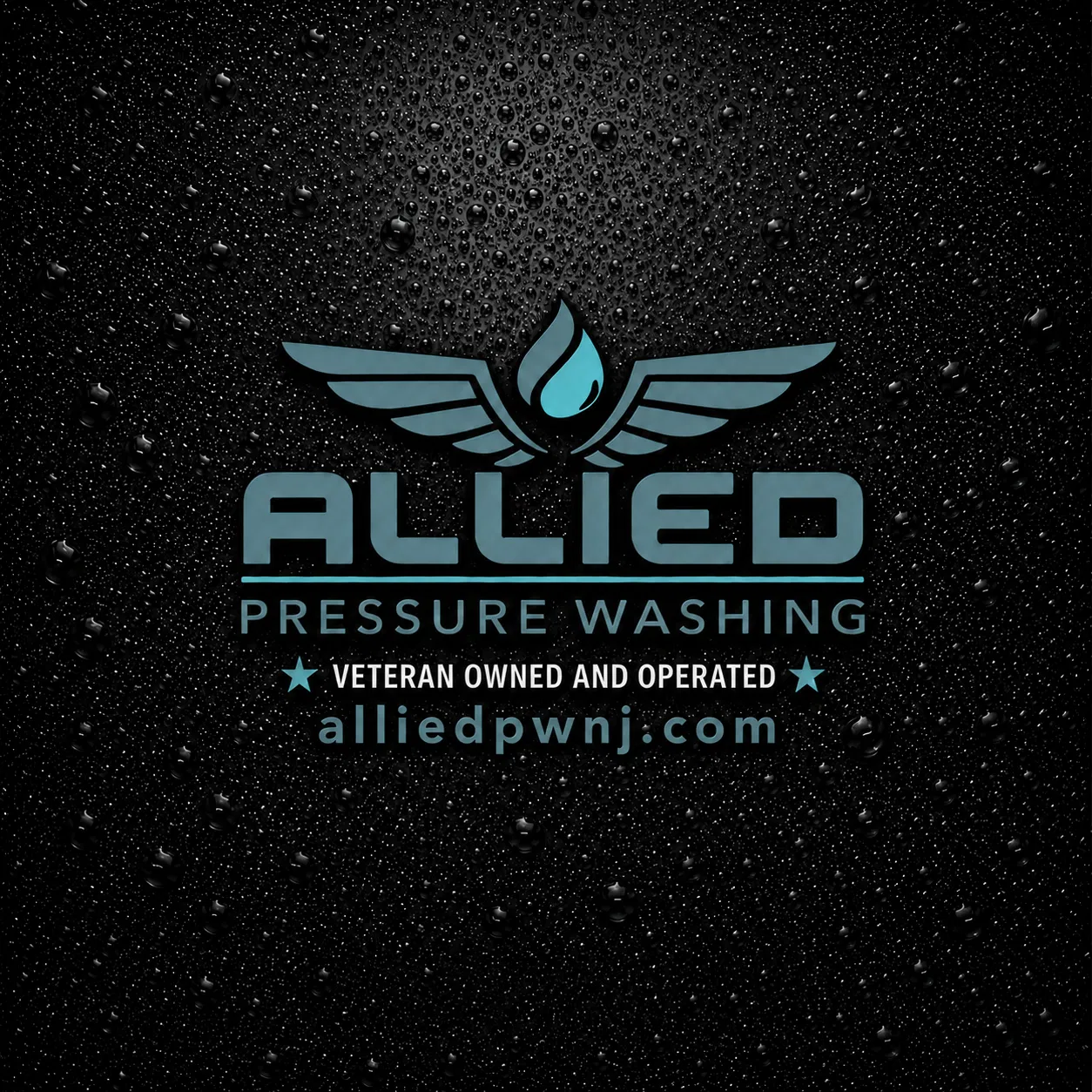 Website Design