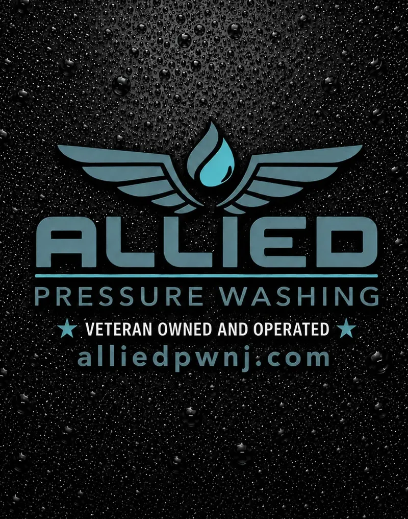 Website Design