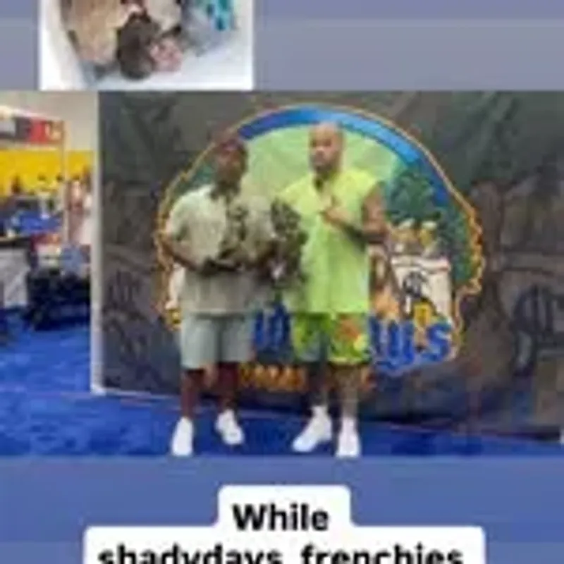 shadydays_backup