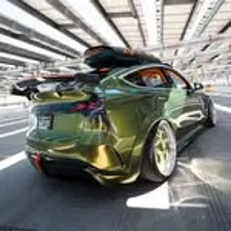 cactusdriven