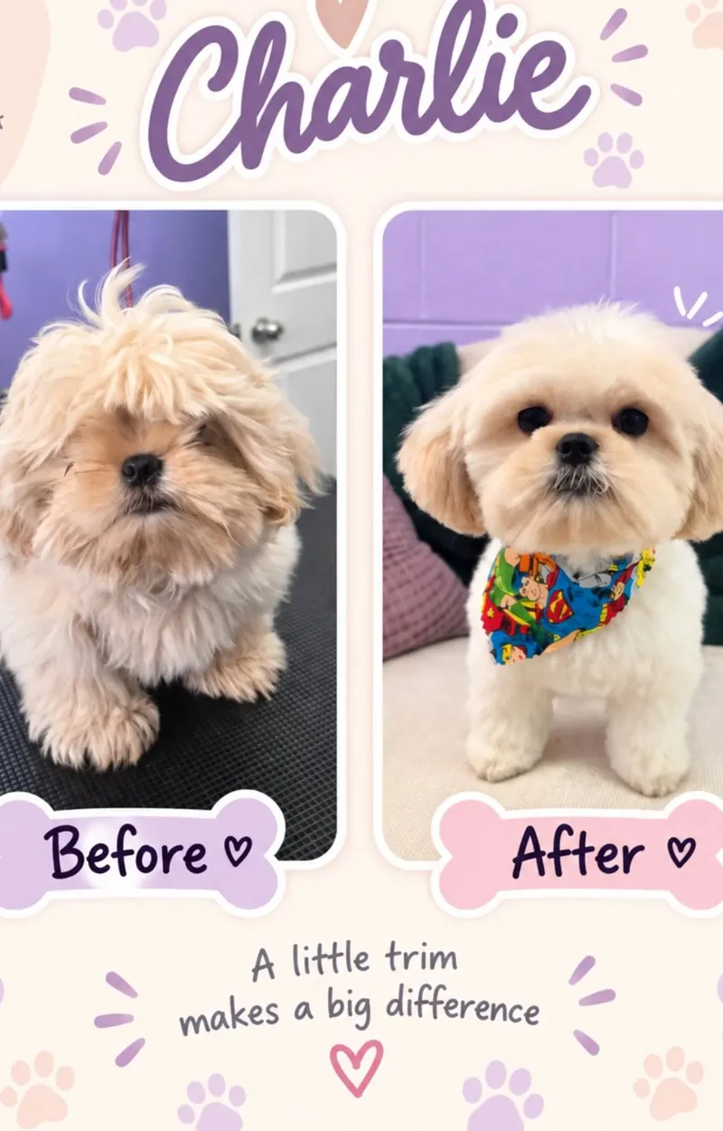 Puppy First Groom