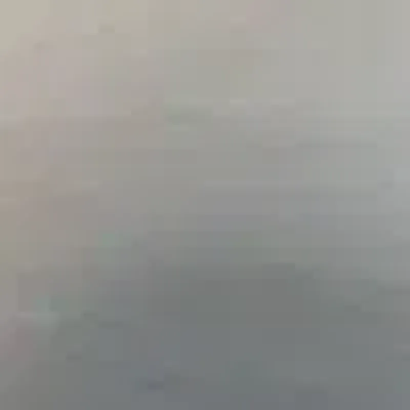 jaybonee