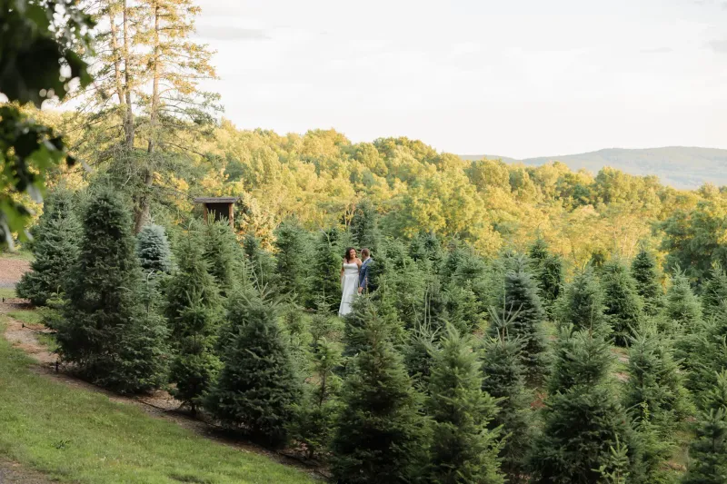 Destination Weddings
