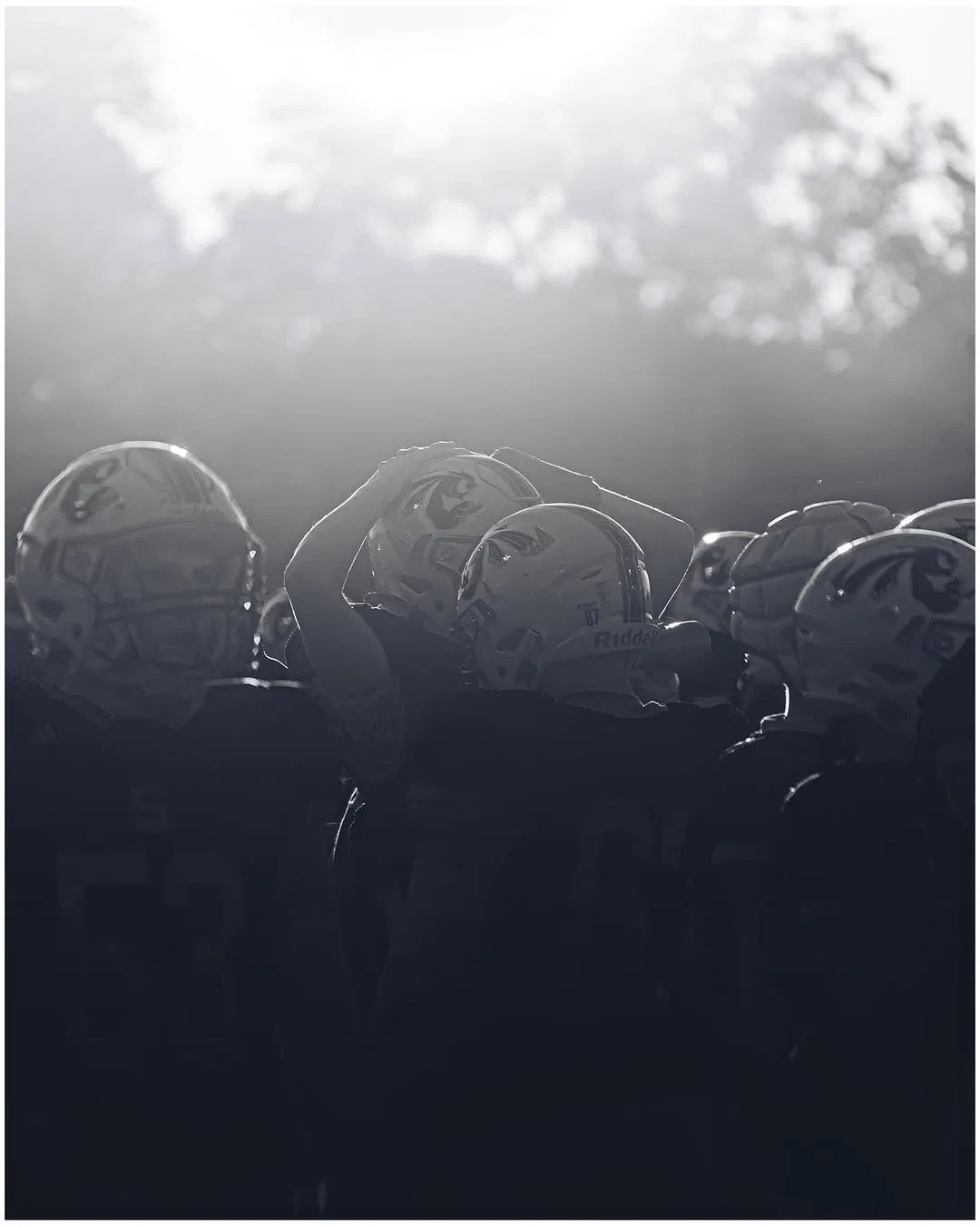 Reel 34