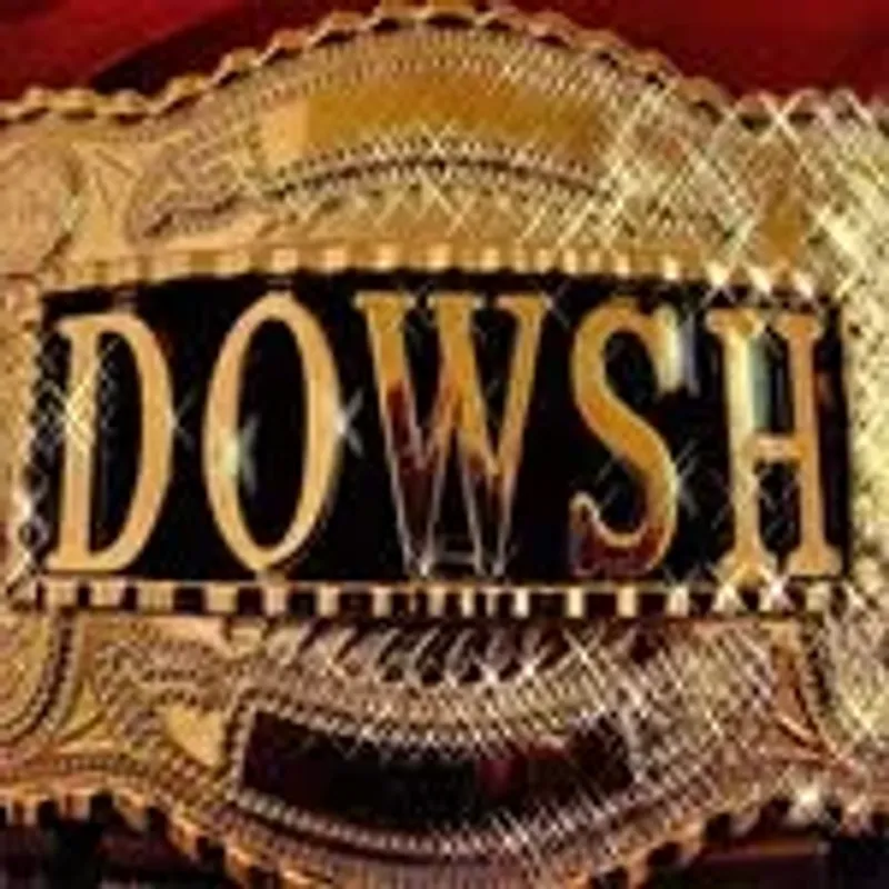 dowshervision