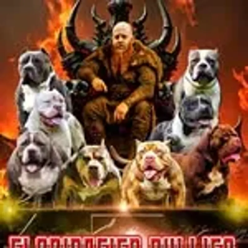floridafied_bullies_ceo