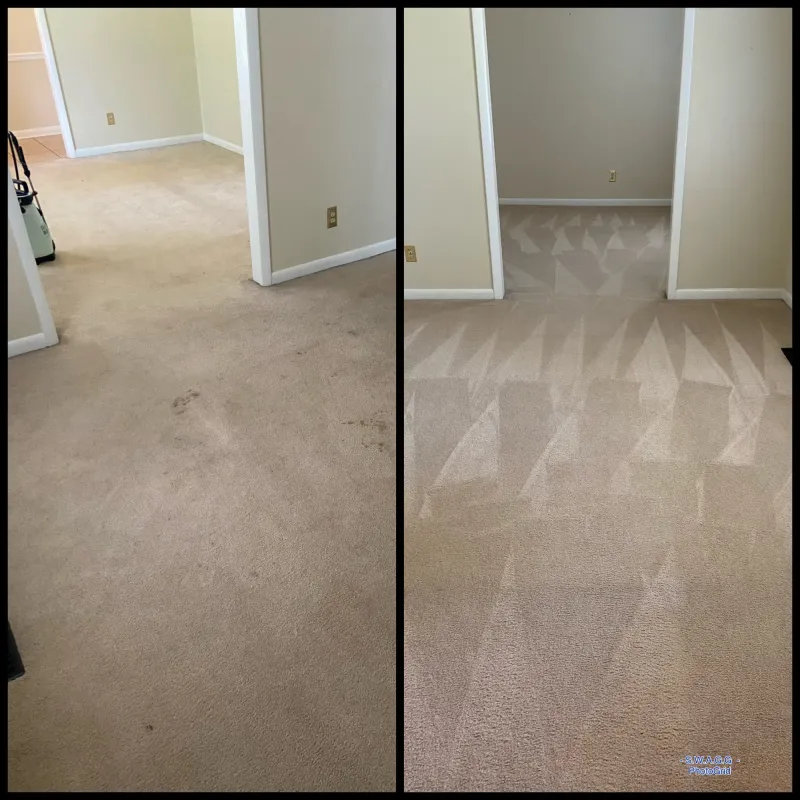 Carpet Cleaning