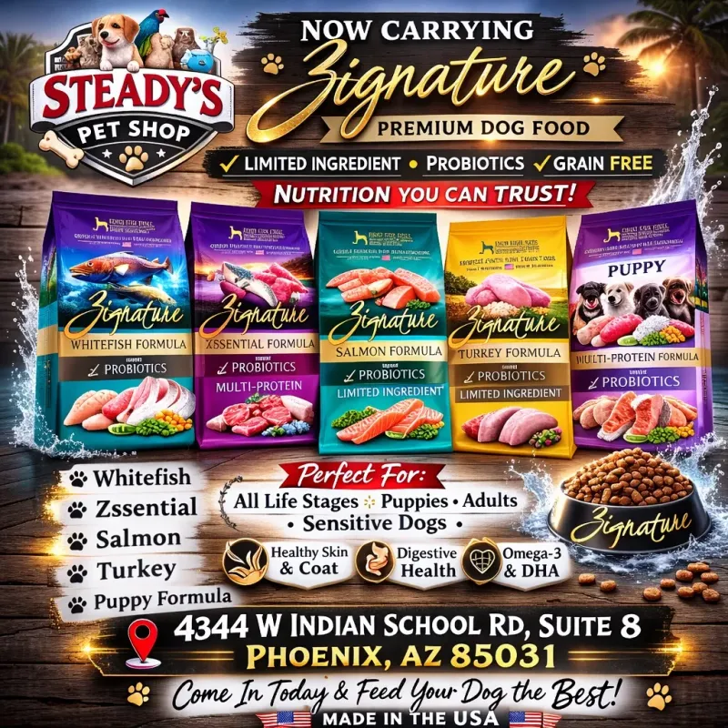 Pet Shop Supplies