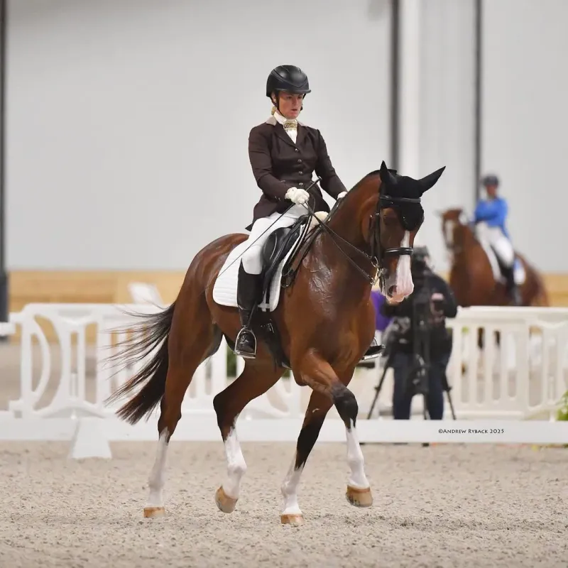 Horse Training