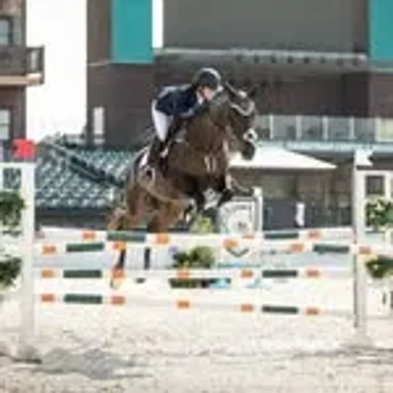 @avaeventing