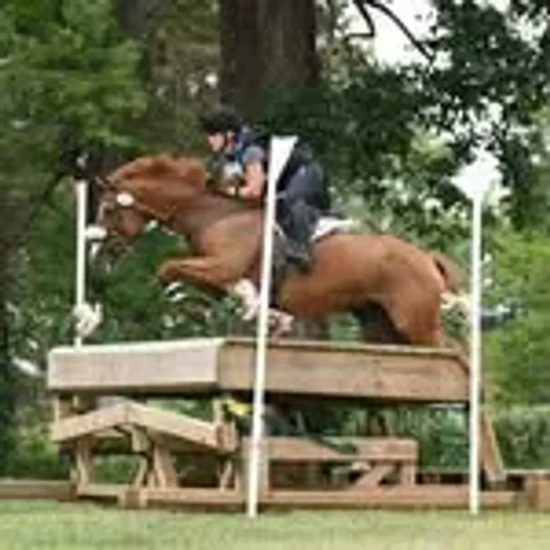 @eventingfinnigan